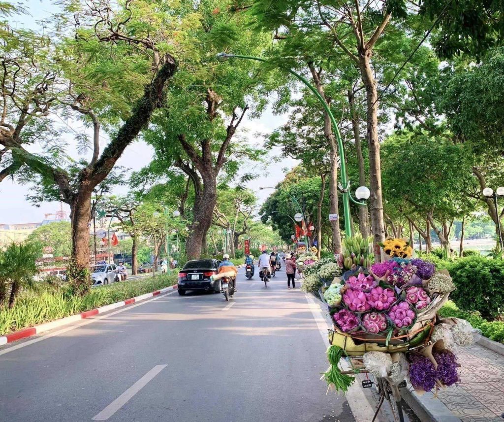 Xe hoa Hà Nội